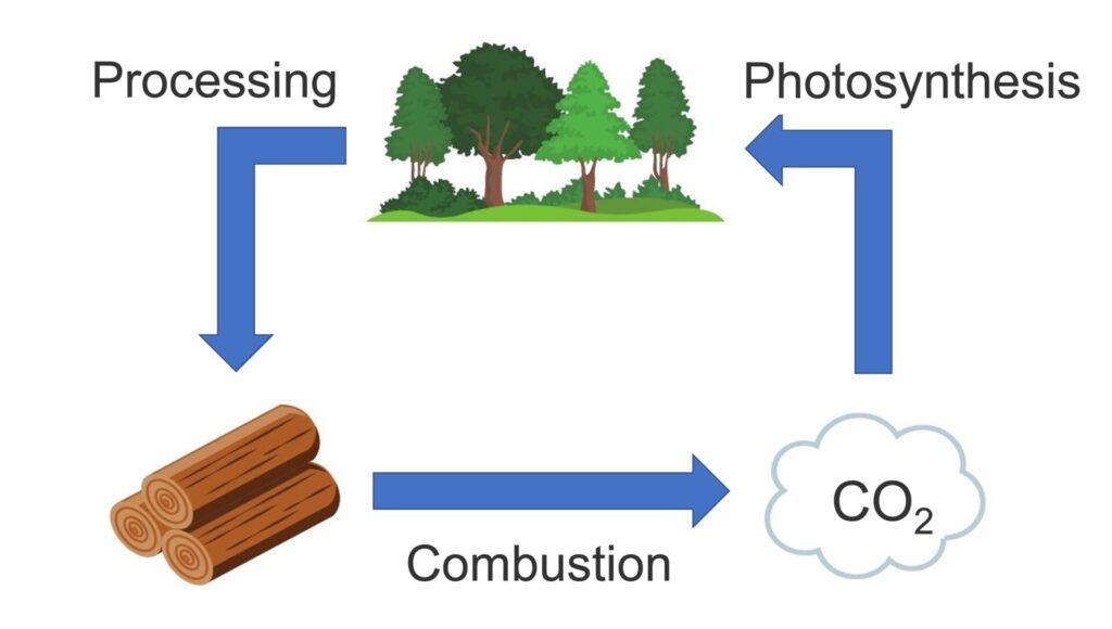 figure-carbon-neutrality1